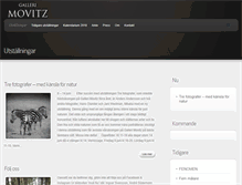 Tablet Screenshot of gallerimovitz.com